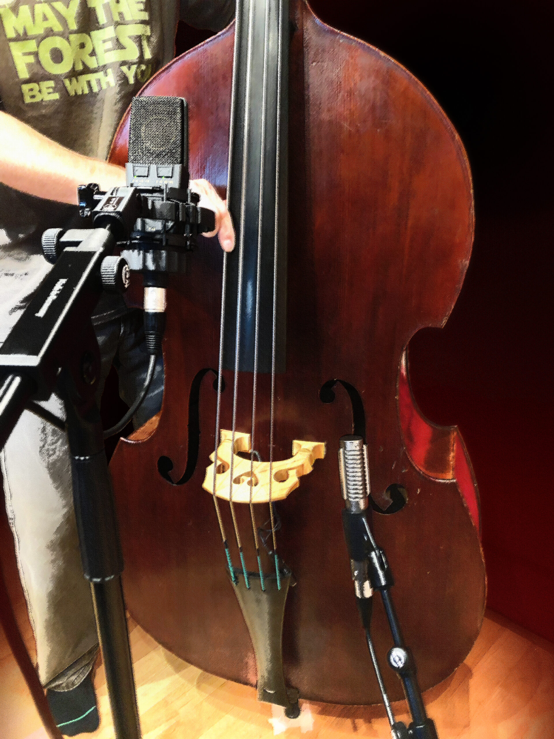Slipway-Studio_Double-Bass_Recording